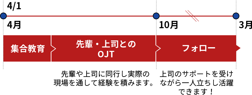 集合教育 先輩・上司とのOJT フォロー